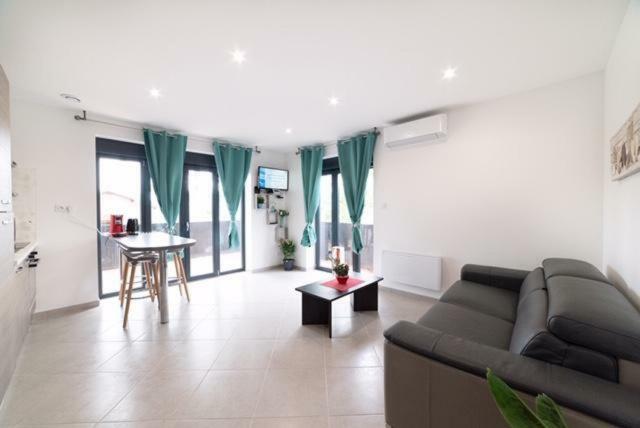 Blue Purple Grand Stade Apartment Meyzieu Ngoại thất bức ảnh